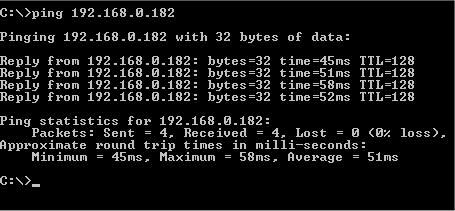 Using PING to test connection